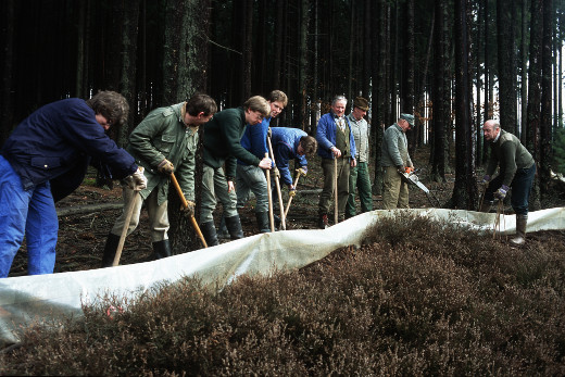 Helfer stehen in einer Reihe hinter der Plastikplane des Amphibienschutzzauns, arbeiten mit Spaten und b&uuml;cken sich nach vorn