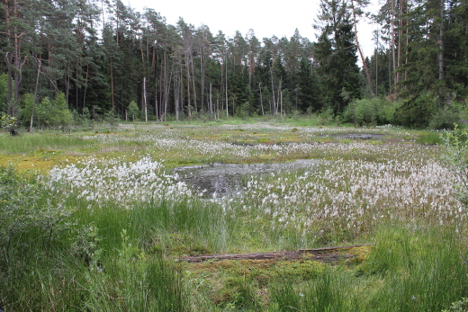 20110619_adfc_burgwaldrunde_019_520x347