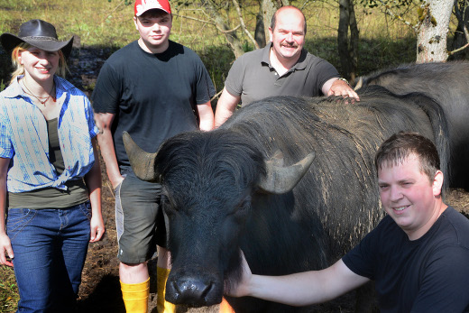 Sebastian, Wolfgang und Fabian Kahler sowie Ann-Christin Boland stehen rund um einen der jungen Wasserbüffel, der so groß ist, dass sich sein Rücken auf Höhe der Brust der Erwachsenen befindet.
