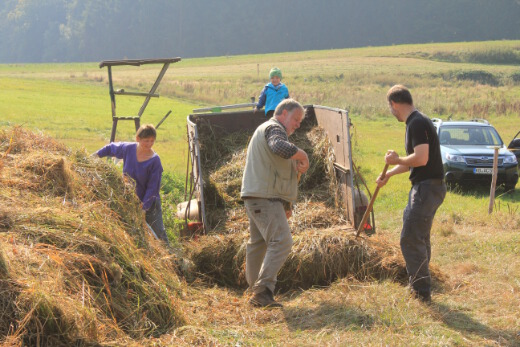 20160924_nabu_feuchtwiesen_045_520x347